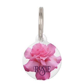 Placa Para Mascotas Personalizable rosa rosa rosa floral Rosie gato no
