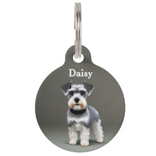 Placa Para Mascotas Personalización de Schnauzer en miniatura