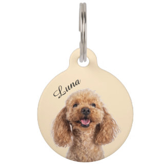 Placa para Mascotas Personalizada | Chapita Editab