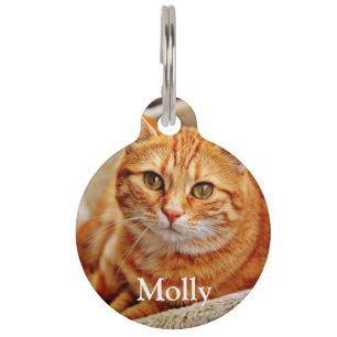 Placa Para Mascotas Personalizado agrega tu foto y detalles de mascota