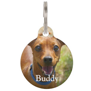 Placa Para Mascotas Personalizado agrega tu foto y detalles de perro m