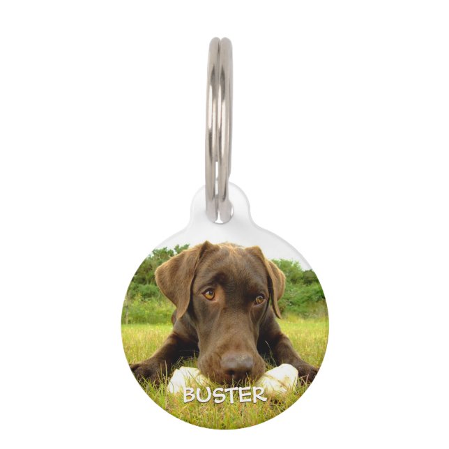 Placa Para Mascotas Personalizado de chocolate labrador (Anverso)