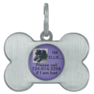 PLACA PARA MASCOTAS PERSONALIZADO DE LA ETIQUETA DE LA MASCOTA DE HUES