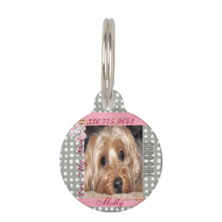 Placa Para Mascotas Personalizado de perro Foto Polka Dots Etiqueta de