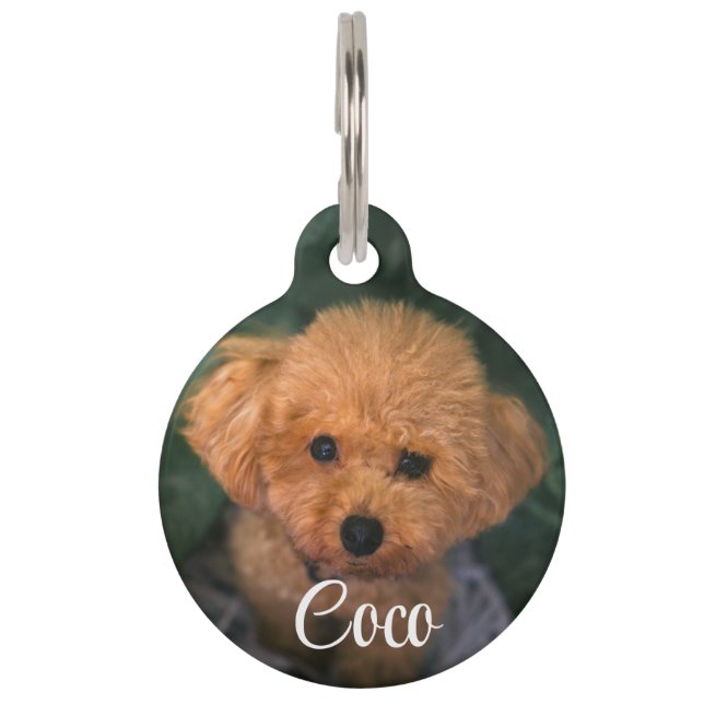 Placa Para Mascotas Personalizado Imagen Perro QR Nombre de código Pet (Anverso)