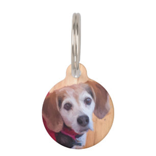 Placa Para Mascotas Personalizado Mascota Foto Perro Gato Cuto