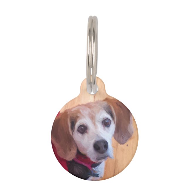 Placa Para Mascotas Personalizado Mascota Foto Perro Gato Cuto (Anverso)
