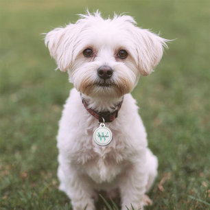 Placa Para Mascotas Personalizado Mascota Nombre Monograma Verde azula