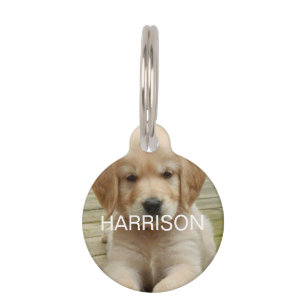 Placa Para Mascotas Personalizado personalizado Contacto de foto de do