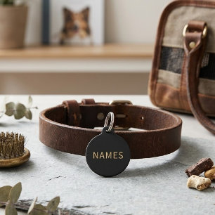 Placa Para Mascotas Personalizados con apellido o apodo en ellos