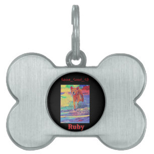 Placa Para Mascotas Personalizar canino en el mascota de la playa
