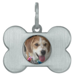 Placa Para Mascotas Personalizar con la foto de su perro