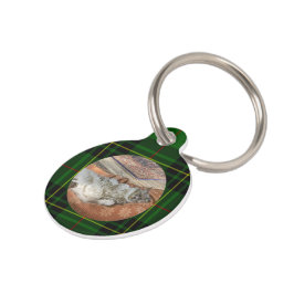 Placa Para Mascotas Personalizar gato verde Forbes Tartan