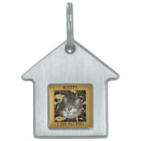 Personalizar hoja de oro falso en gato negro