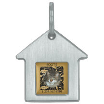 Personalizar hoja de oro falso en gato negro