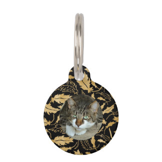 Placa Para Mascotas Personalizar hoja de oro falso en gato negro