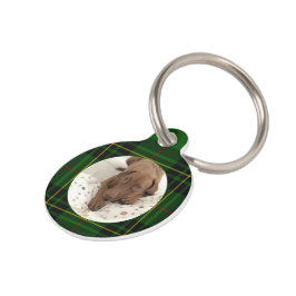Placa Para Mascotas Personalizar perro verde Forbes Tartan
