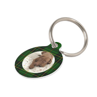 Placa Para Mascotas Personalizar perro verde Forbes Tartan