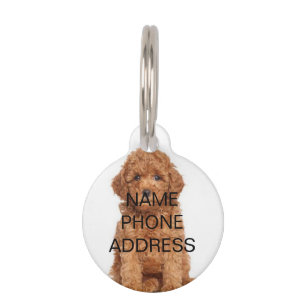 Placa Para Mascotas Personalizar, personalizar Nombre de perro, teléf