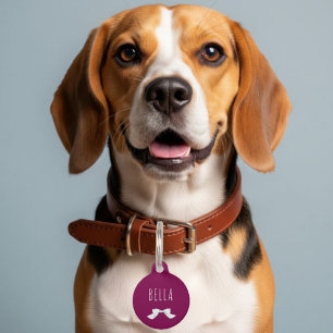 Placa Para Mascotas personalized charm with name + numbers
