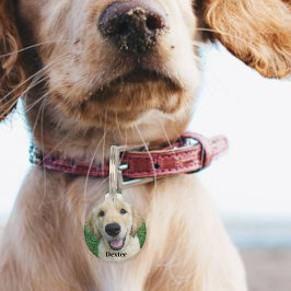 Placa Para Mascotas Personalized dog tag / Dog name tag 