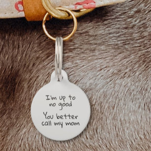 Placa Para Mascotas Pet Dog Cat Funny Humor Customize ID Lost