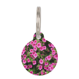 Placa Para Mascotas Petunias y césped