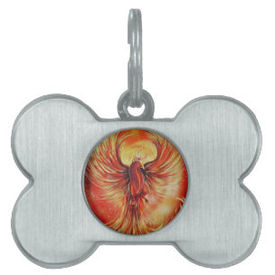Placa Para Mascotas Phoenix
