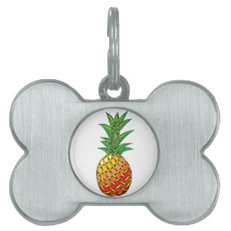 Placa Para Mascotas Piña