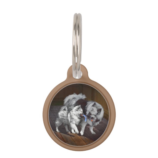 Placa Para Mascotas Pintado Keeshond Playtime - Arte Perro Original. (Anverso)