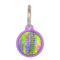 Pintura de Lupine - Arte original de las flores