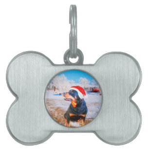 Placa Para Mascotas Pintura de Navidades de perro de Rottweiler