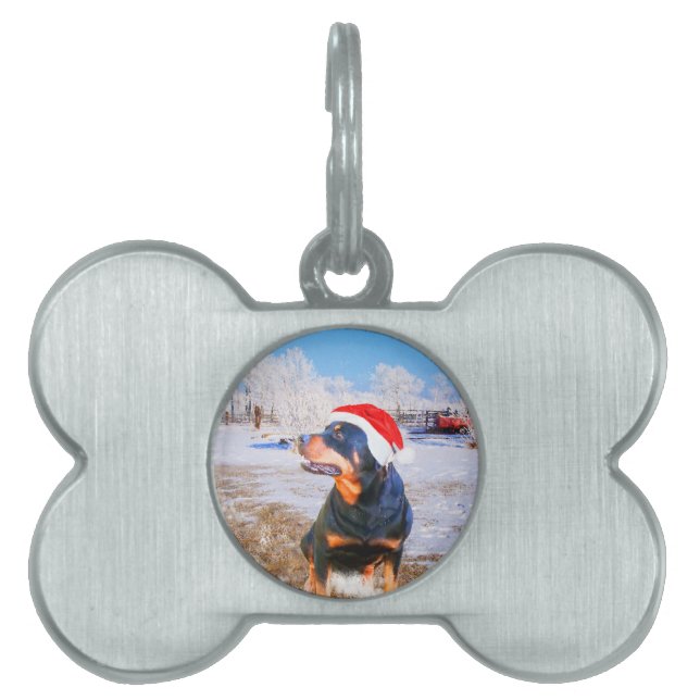Placa Para Mascotas Pintura de Navidades de perro de Rottweiler (Frente)