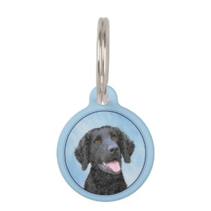 Placa Para Mascotas Pintura de recuperación con recubrimiento de curry