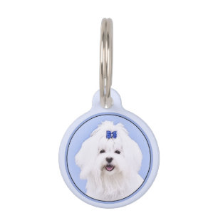 Placa Para Mascotas Pintura maltesa - Arte de perro original muy lindo