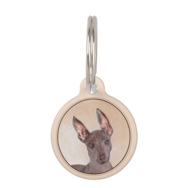 Placa Para Mascotas Pintura Xoloitzcuintli - Arte Perro Original Cuto (Anverso)