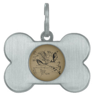 Placa Para Mascotas Pisces Constellation Hevelius Decoración 1690