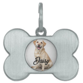 Placa Para Mascotas Placa Personalizada para Mascota con Foto y Nombre