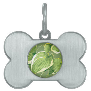 Placa Para Mascotas Planta Ficus 5