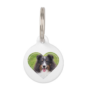 Placa Para Mascotas Plantilla De Foto De mascota En Forma De Corazón C