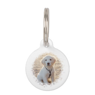 Placa Para Mascotas Plantilla de fotografía Mascota personalizada con
