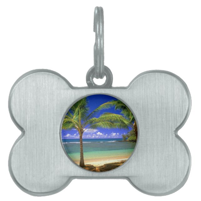 Placa Para Mascotas playa tropical (Frente)