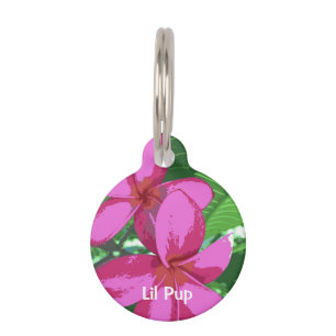 Placa Para Mascotas Plumeria morada