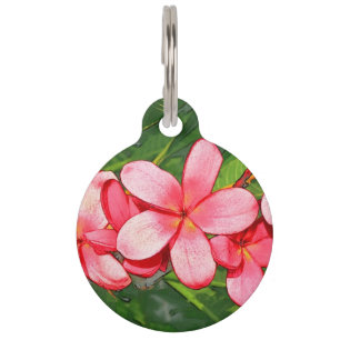 Placa Para Mascotas Plumerias
