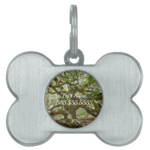 Placa Para Mascotas Poderosa etiqueta de identificación de mascota Ang