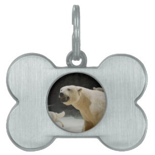 Placa Para Mascotas Polar Bear Grin