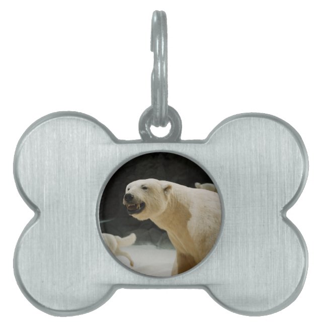 Placa Para Mascotas Polar Bear Grin (Frente)