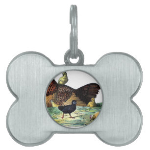 Placa Para Mascotas Pollos Vintage Animal