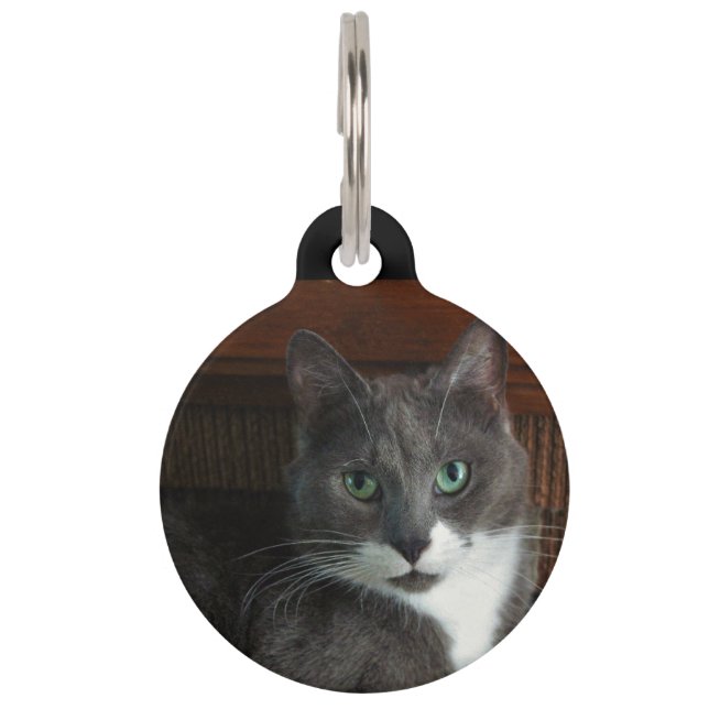 Placa Para Mascotas Polvoriento (Anverso)