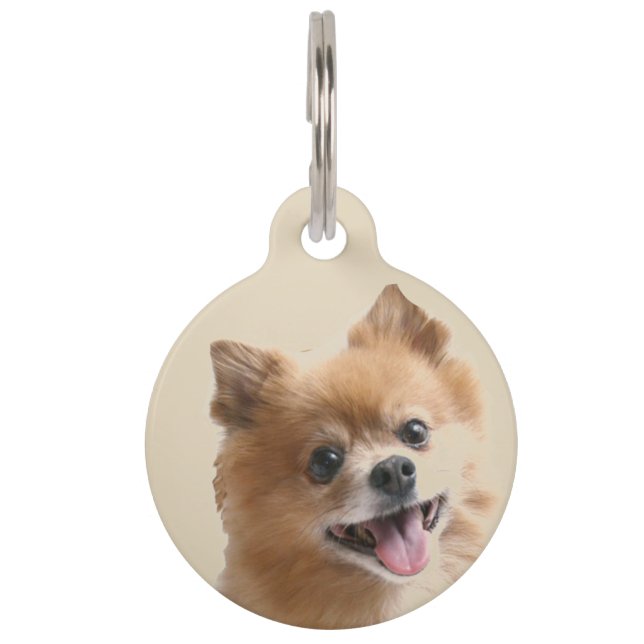 Placa Para Mascotas Pomerano (Anverso)
